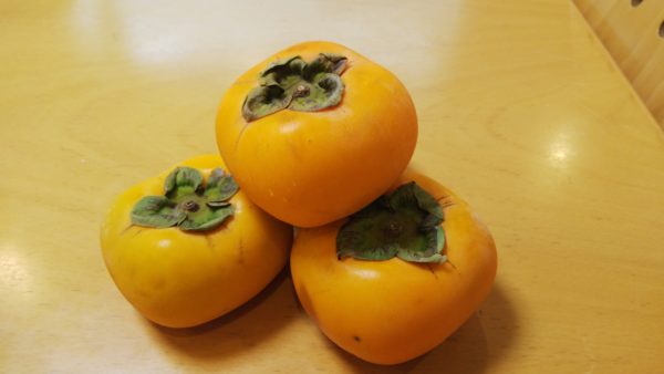 秋の旬の果物である柿のビタミンcや高い栄養価と効能で体調を抜群に
